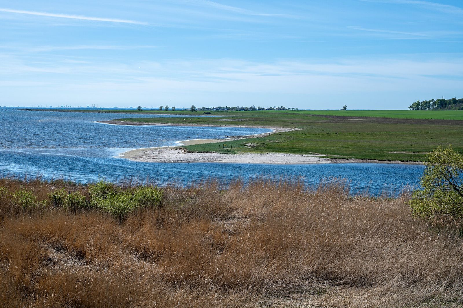 Shore meadows at Löddeåns mynning