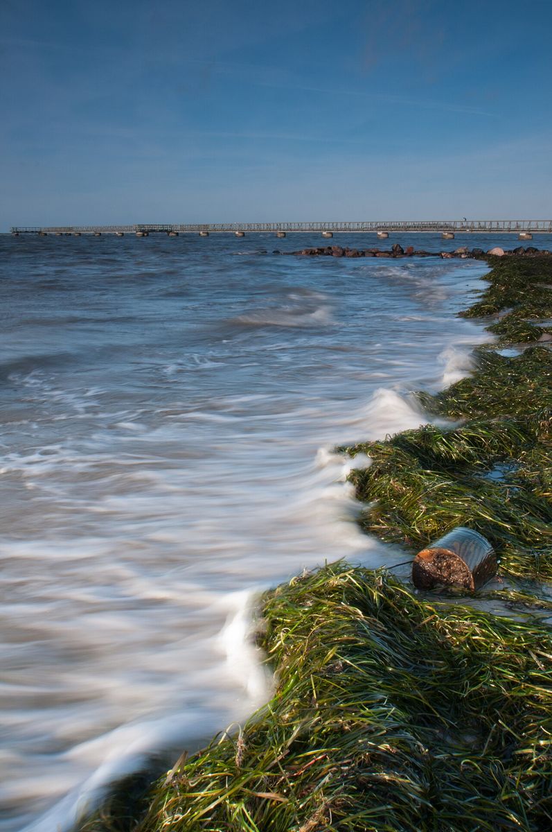 Waves washing over the grassy shore at Habo Ljung